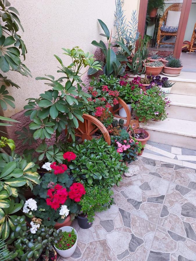 Vila Kodra Тирана Екстер'єр фото